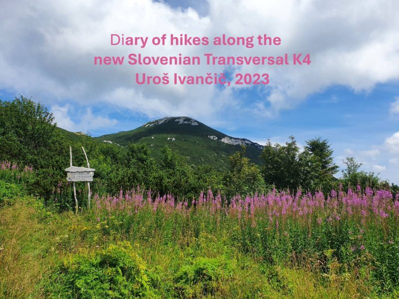 Diary-k4hike-Ui1240
